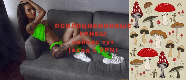 гидра Зерноград