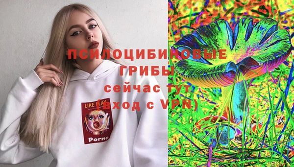 гидра Зерноград