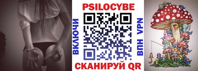 Псилоцибиновые грибы Cubensis Никольск