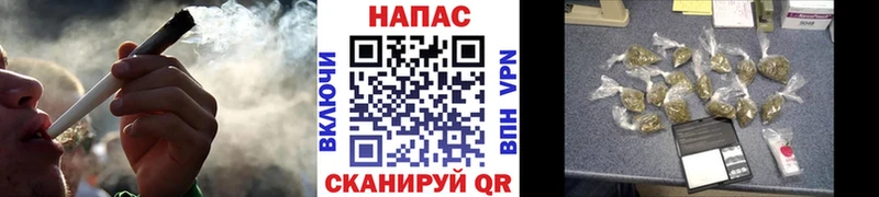 Купить где  Никольск  Конопля конопля 